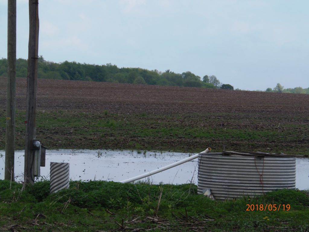 May 29, 2018 – What IS this? Where does the white pipe (coming up out of the ground) come from, and why does it discharge into that catch basin/pumping station? Elton Rd., south of Warner medium CAFO (not permitted).