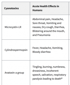 Cyanotoxins: Health Risks to Humans